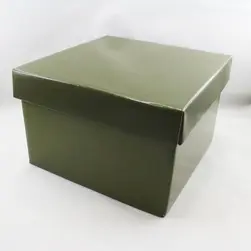 Large Square Box and Lid 22x22x14cm height Moss