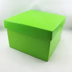 Large Square Box and Lid 22x22x14cm height Lime
