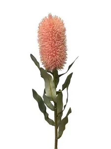 Medium Banksia Pink 70cm Medium Banksia Pink 70cm